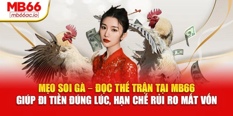 Mẹo soi gà – đọc thế trận tại MB66 giúp đi tiền đúng lúc, hạn chế rủi ro mất vốn