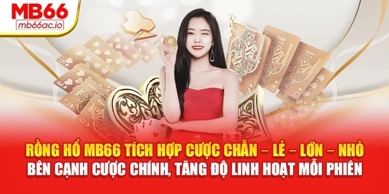 Rồng Hổ MB66 tích hợp cược chẵn – lẻ – lớn – nhỏ bên cạnh cược chính, tăng độ linh hoạt mỗi phiên