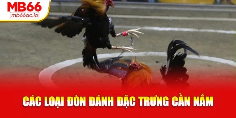 Đá Gà Chọi Máu Lửa – Cuộc Đấu Trí Đỉnh Cao Chiến Kê Các loại đòn đánh đặc trưng cần nắm