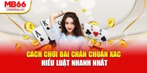 Cách Chơi Bài Chắn Chuẩn Xác – Hiểu Luật Nhanh Nhất