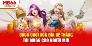 Cách Chơi Xóc Đĩa Dễ Thắng Tại Mb66 Cho Người Mới